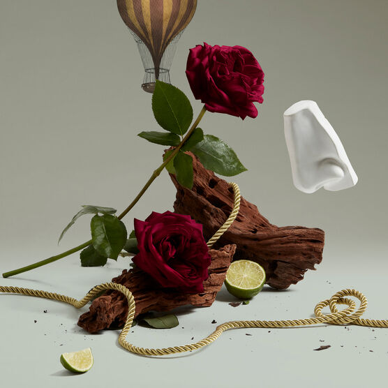 Perfume Penhaligon's Halfeti Unissex Eau de Parfum